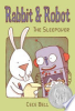 Rabbit_and_Robot___the_sleepover