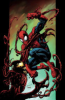 Ultimate_Spider-Man__Vol__11___Carnage
