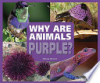Why_are_animals_purple_