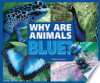 Why_are_animals_blue_