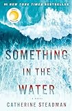 Something_in_the_water___a_novel
