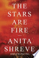 The_stars_are_fire___a_novel