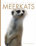 Amazing_Animals__Meerkats