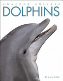 Amazing_Animals__Dolphins